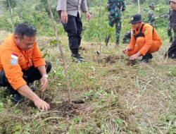Cegah longsor di lereng cyclop, SAR Jayapura adakan tanam pohon