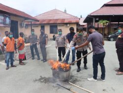 Sat Narkoba Polres Jayapura Musnahkan 4,4 KG Ganja