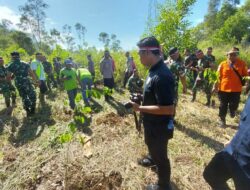 Penanaman Pohon Serentak Di Seluruh Indonesia, Polres Jayapura Tanam 1000 Bibit