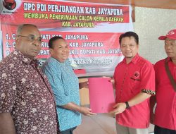 Dihari Yang Sama, Ini Yang Dilakukan Hana Hikoyabi di  Dua Partai