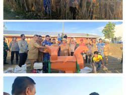 Dukung Ketahanan Pangan Papua, Lanud SPR Jayapura Panen Jagung Perdana 4,4 Hektar