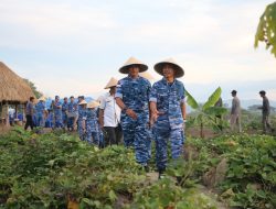 Wasev di Lanud Silas Papare, Aspotdirga Panen Ubi Perdana