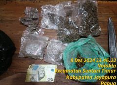 Quick Respon Polsek Sentani Timur Berhasil Tangkap Pelaku Jambret dan Pengedar Ganja di Kampung Harapan