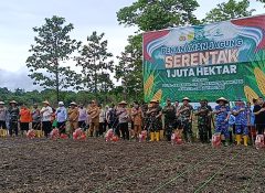 Polda Papua Pilih Kampung AIB Lokasih Penanaman Jagung Serentak 1 Juta Hektar