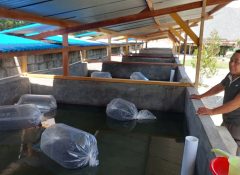 Terima Bantuan Pemerinta Pusat, Kepala Suku Kampung Yahim: Negara Hadir Bagi Masyarakat Papua