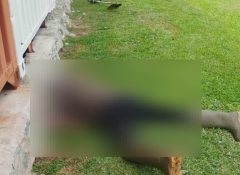 Penemuan Mayat di Lapangan Terbang MAF Bandara Sentani