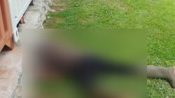 Penemuan Mayat di Lapangan Terbang MAF Bandara Sentani