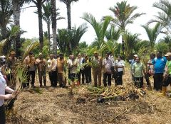 Buka Pencanangan Penanaman 1.000 Pohon Sagu, Bupati Yunus Wonda: Cadangan Pangan Strategis Harus Dijaga