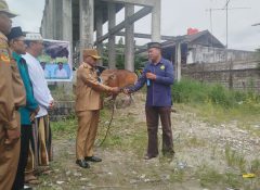 Pemkab Jayapura Salurkan Hewan Kurban, Wabup Haris Yocku Serahkan di Masjid Al-Aqsa Sentani