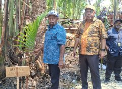 Peringati Hari Danau Sedunia, Bupati Yunus Wonda Tabur 10 ribu Benih Ikan dan Tanam Sagu